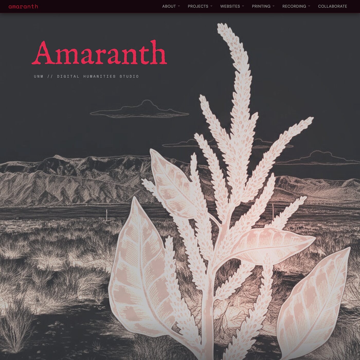 Amaranth